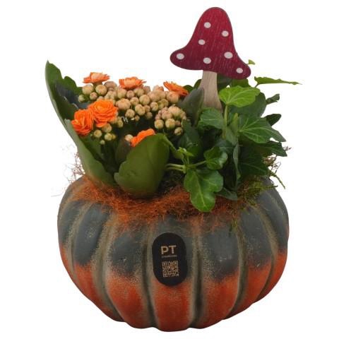 <h4>PTHI3256 Arrangement Autumn Indoor in beton pot</h4>