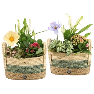 11597: Consideration arrangement