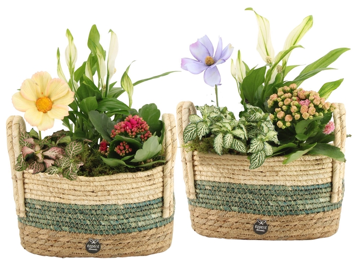 <h4>11597: Consideration arrangement</h4>