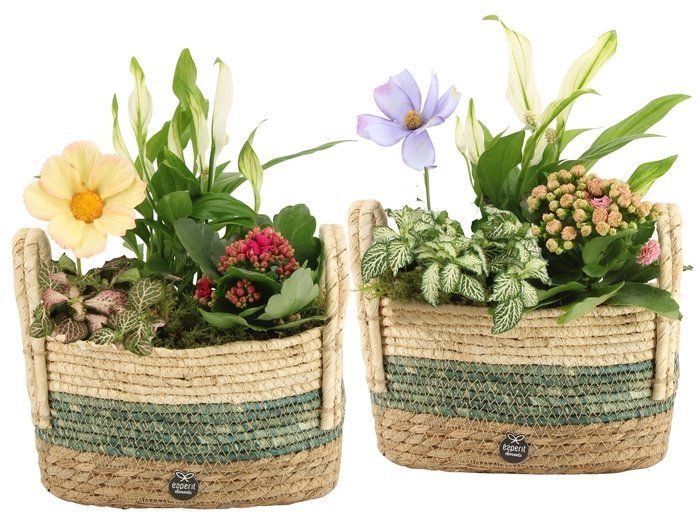 <h4>11597: Consideration arrangement</h4>