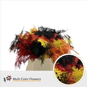 Leaf asparagus paint mix autumn