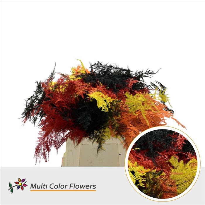 <h4>Leaf asparagus paint mix autumn</h4>