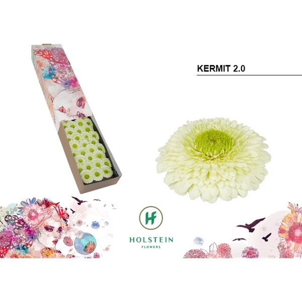 <h4>GE MB Gerponi Kermit doos</h4>