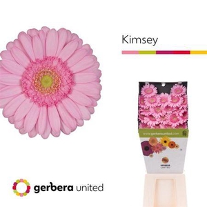 GE MI KIMSEY DIAMOND