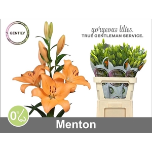Li La Menton