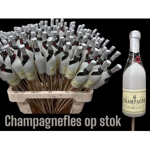 Y ARR CHAMPAGNE FLES OP STOK