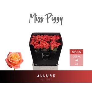 R GR MISS PIGGY+ ALLURE