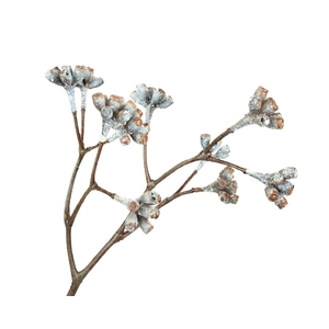 Eucalyptus Berry Aubergine