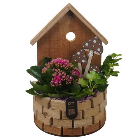 <h4>PTHI3338 Arrangement Autumn Indoor in houten vogelhuis</h4>