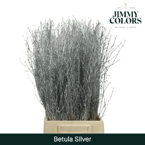 <h4>Betula L60 Mtlc. Silver</h4>