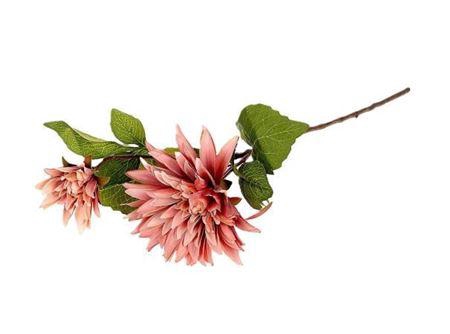 <h4>Stem Dahlia Karma L71</h4>