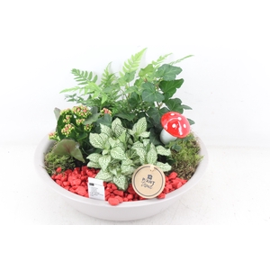 arr2 PL - Zink schaal creme - rood