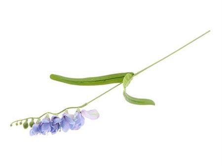 <h4>Stem Freesia</h4>
