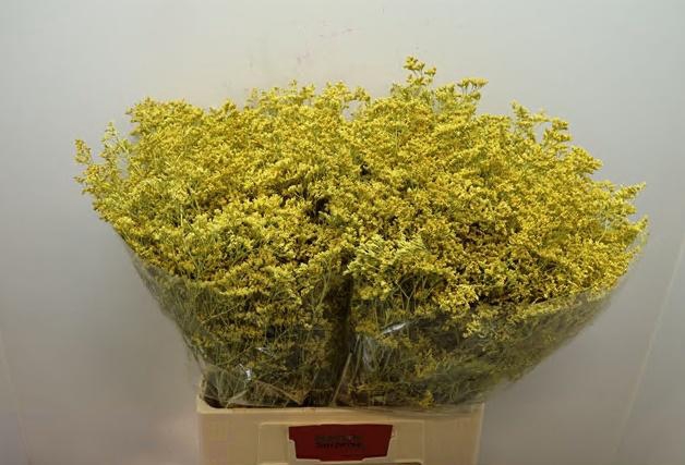 <h4>LIM OV KLB H%</h4>