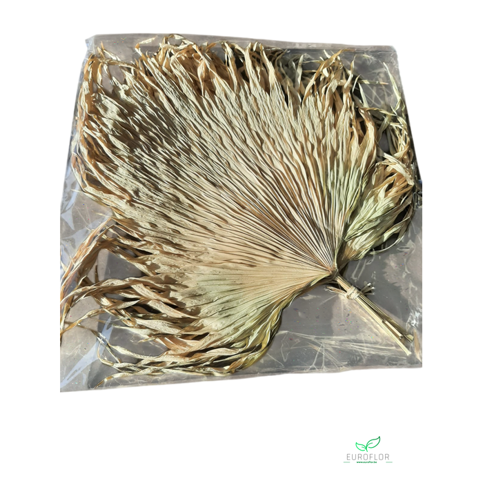 <h4>ANAHAW LEAVES MINI NATURAL</h4>