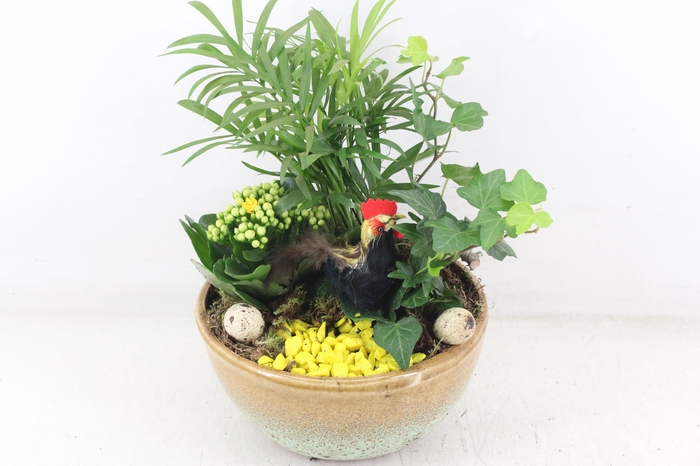 <h4>arr2 MB - Ker. schaal Sandy yellow</h4>