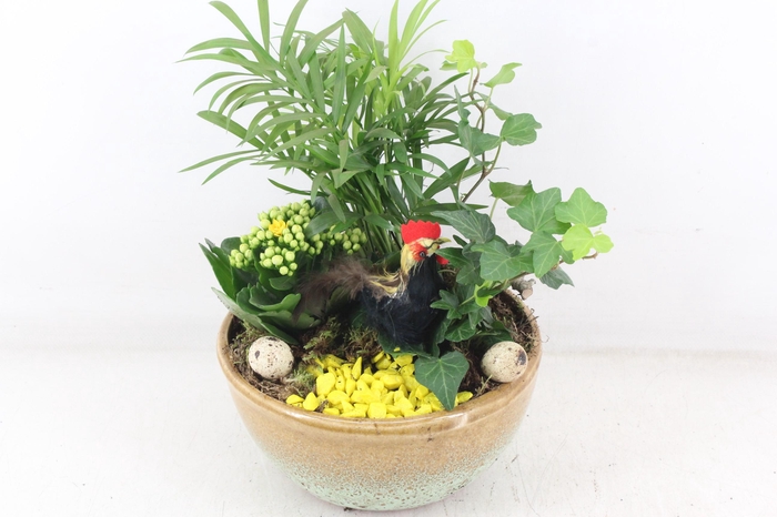 arr2 MB - Ker. schaal Sandy yellow