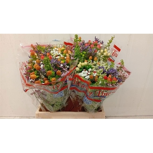 GEM ZOMERBOEKET