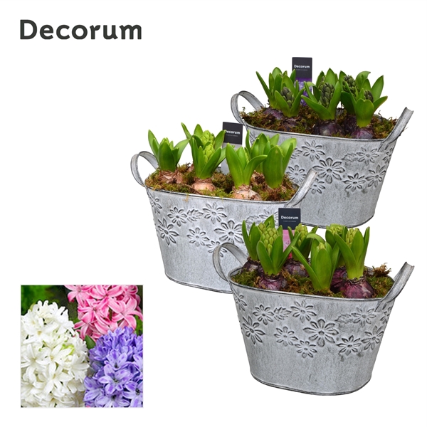 <h4>Hyacint Flower Basket HL12633 [PURE]</h4>