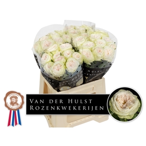 R Gr Bal Dream Summerhouse Hulst