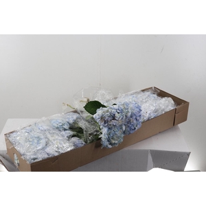 Hydr Lilac Naturel Sel Box