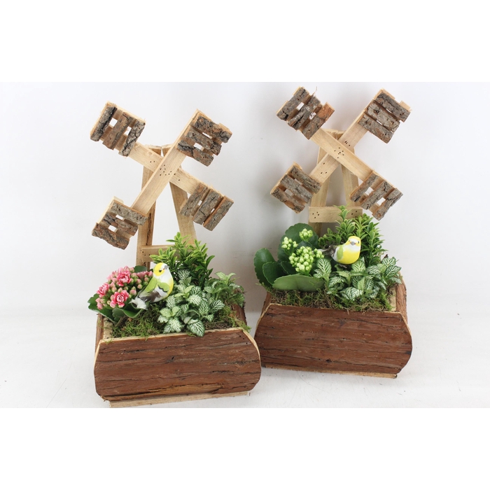 <h4>Arr2 Td - Hout Molen 338/3 - Roze/wit</h4>