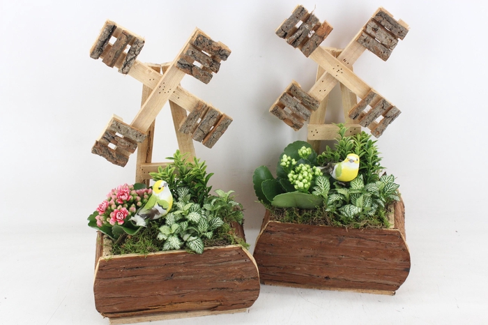 Arr2 Td - Hout Molen 338/3 - Roze/wit