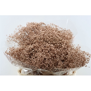 Gyps Grof. Mtlc Copper