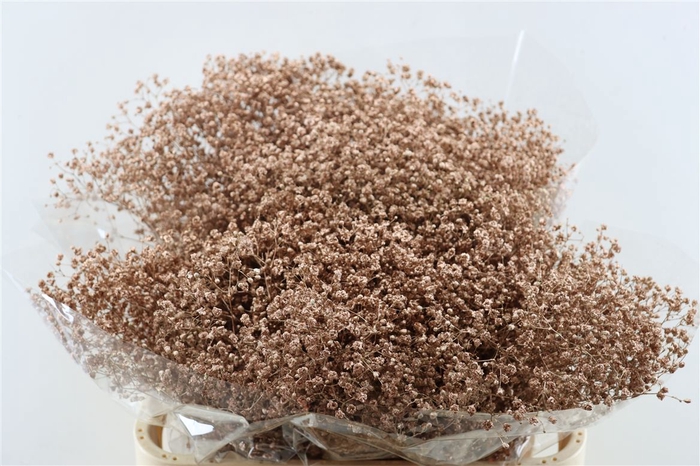 <h4>Gyps Grof. Mtlc Copper</h4>