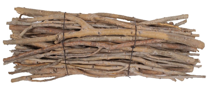 Poplar bundle diam 15cm length 30cm natural