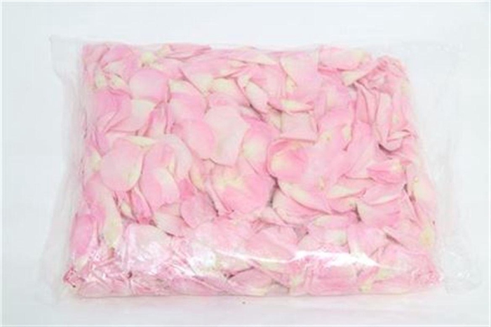 <h4>Rose Petals White-pink</h4>
