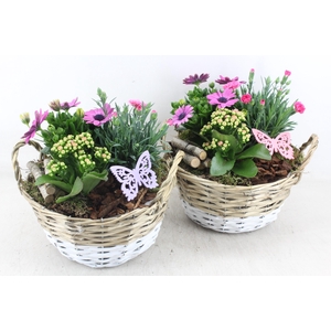 arr4 Outdoor MB - Mand duo x2