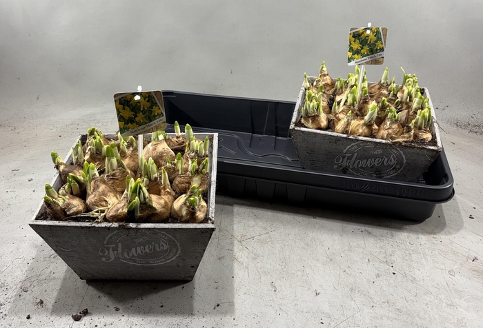 <h4>ARR N TETE A TETE</h4>