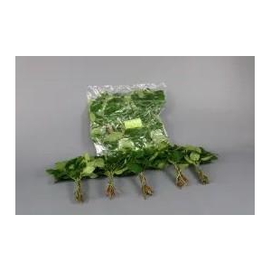 SALAL MINI TIPS (5 BOS PER ZAK)