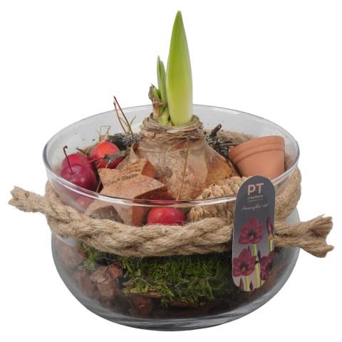 <h4>PTACH2401 Arrangementen Kerst</h4>