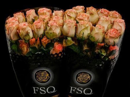 <h4>R Gr Country Home Box</h4>