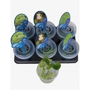 Drijfplanten Gem