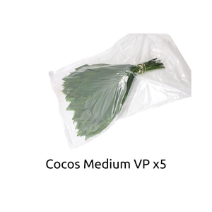 Cocos Medium V P X 5