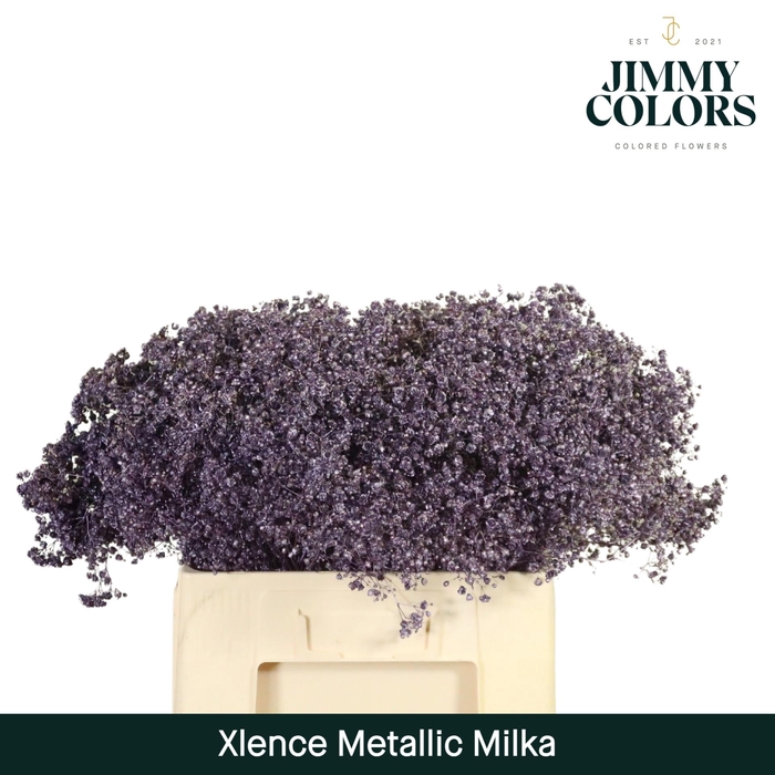 <h4>Gyps xlence L60 Mtlc. Milka</h4>