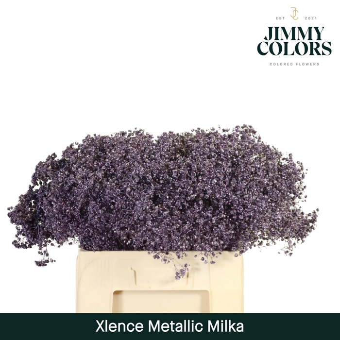 <h4>Gyps xlence L60 Mtlc. Milka</h4>