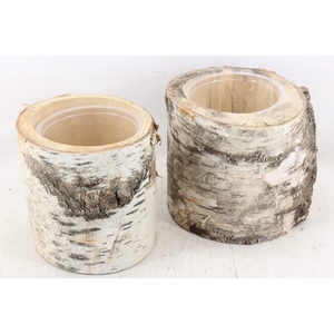 arr3 GB - Schors pot x6