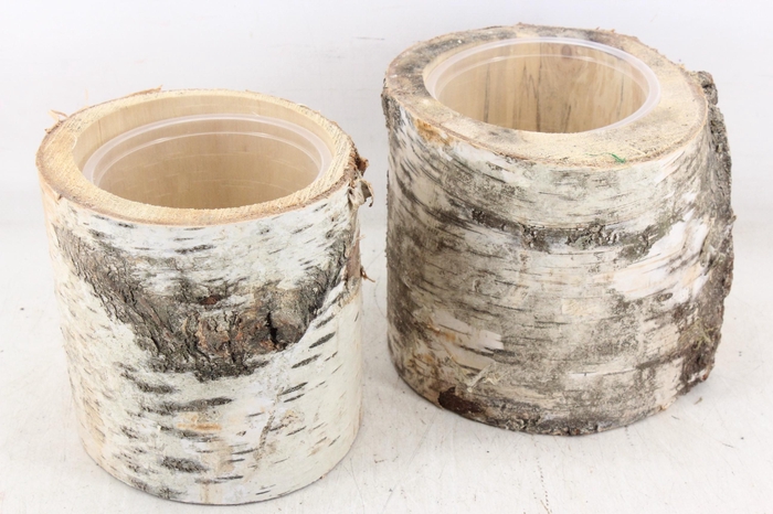 <h4>arr3 GB - Schors pot x6</h4>