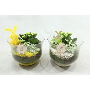 9455 RIO BOKAAL GEEL/WIT