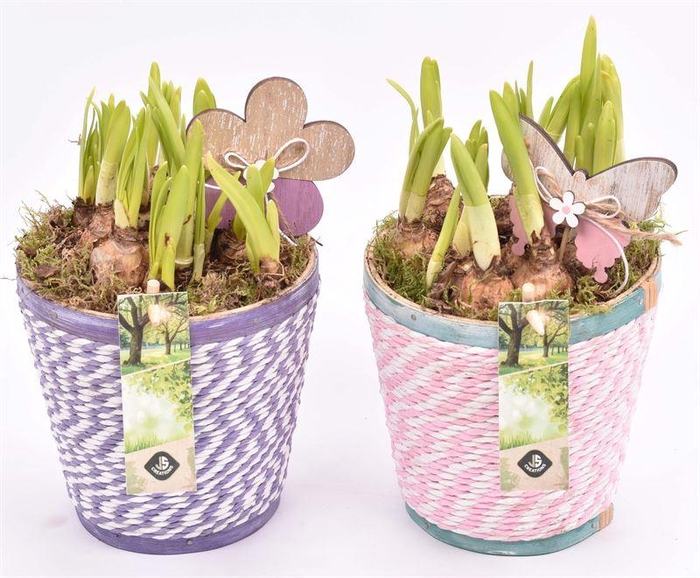 <h4>Hout pot met roze/wit paars/wit touw 13.5cm</h4>