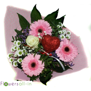 M202409 Roze