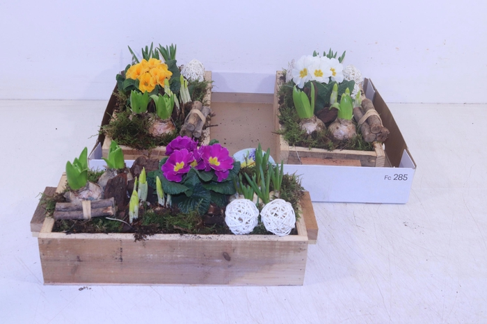 <h4>ARR TUINPLANTEN</h4>