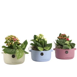 22008: Lovess arrangement