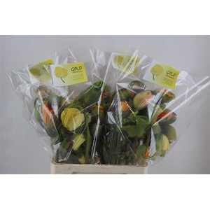 Papaver Mixed Sup Sup P Stem