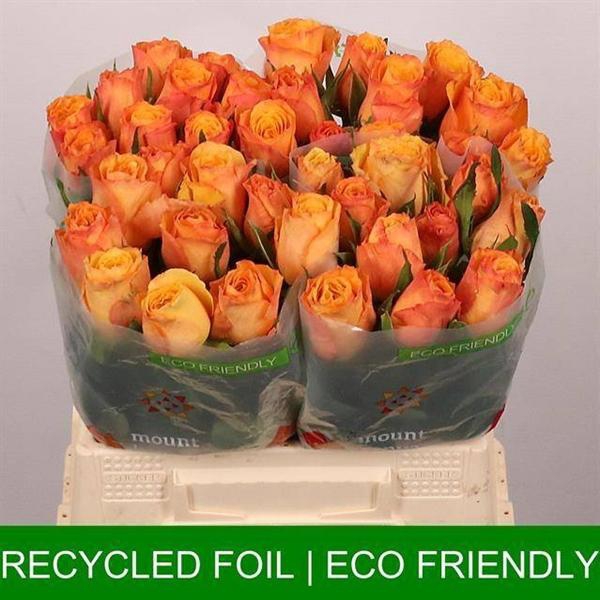 <h4>R GR CONFIDENTIAL</h4>