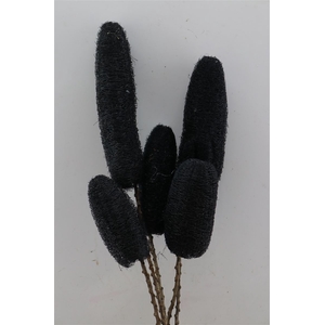 Deco Luffa 5pc Black Bunch Slv